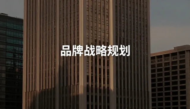 品牌战略规划在财税业务中的适用条件与选择依据